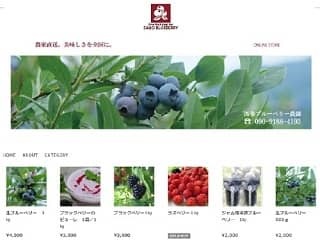 各種べりーの販売