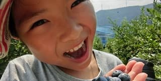 幼児も楽しめるブルーベリー狩り